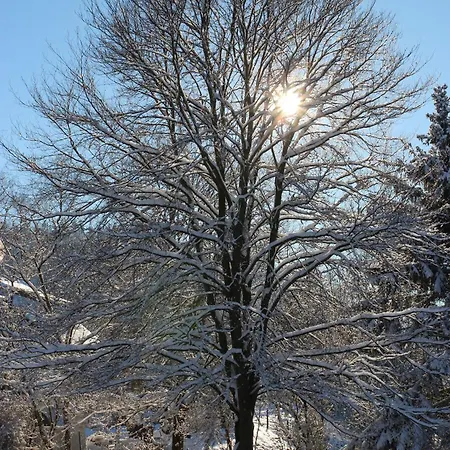 Schoenau Hébergement de vacances Bad Muenstereifel