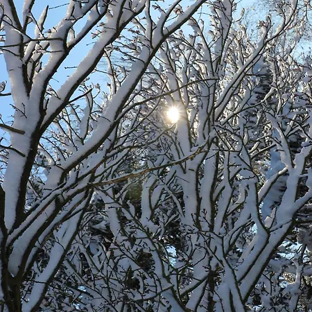 Semesterbostad Schönau Bad Muenstereifel