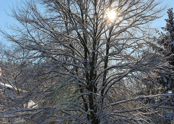 Schoenau Feriehus Bad Muenstereifel
