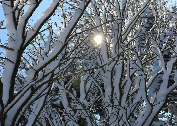 Feriehus Schoenau Bad Muenstereifel